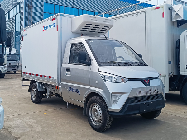 五菱冰寶純電動冷藏車